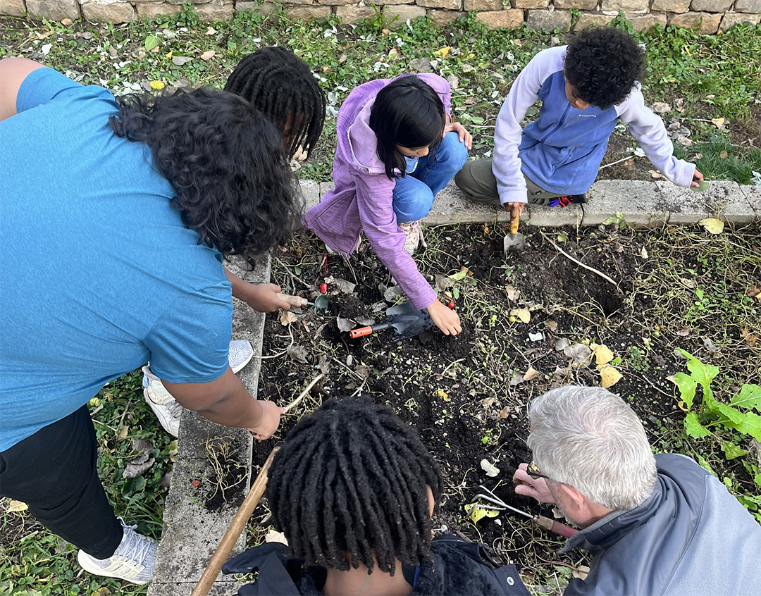 Students planting seeds in a garden